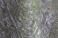 Croft Outerly fibreglass roof work